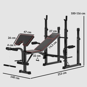 Banco de Musculação Dobrável Banco Multifunções com Suportes para Barras e Encosto Ajustável para Treino Completo de Corpo Preto