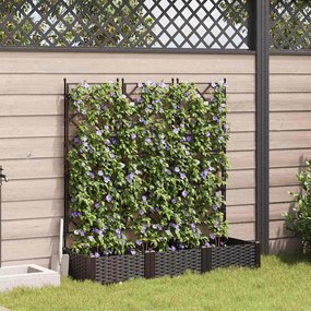 vidaXL Vaso de Jardim com Treliça 3 pcs Castanho 120x40x125.5 cm
