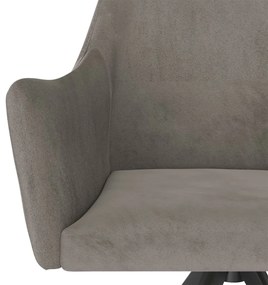Cadeiras de jantar 2 pcs veludo cinzento-claro