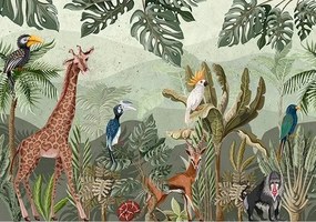 Safari 752-004