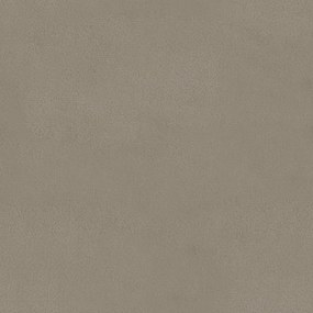 Cadeiras de jantar 2 pcs veludo cinzento-claro