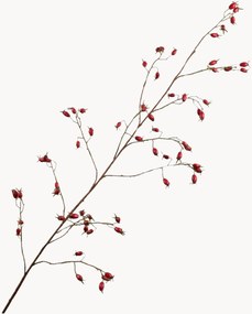 Ramos artificiais artesanais Rosehip, conjunto de 2