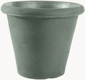 Vaso Camelia