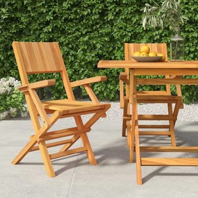 Cadeiras de jardim dobráveis 2 pcs 55x61x90 cm teca maciça