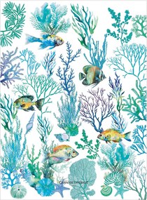 Panos de cozinha Naia Blanc, conjunto de 4