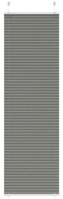 vidaXL Antracite Plissada Cega 60x200 cm Largura Tecido 59,4 cm