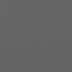 Toldo lateral retrátil 180x1000 cm antracite