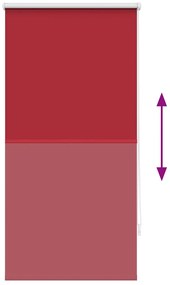 Estore de rolo 60 x 120 cm, Vermelho