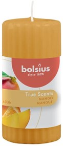 Bolsius Velas cilíndricas perfumadas c/ nervuras 6 pcs manga 120x58 mm