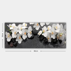 Tela Decorativa YTY1043881600 – Multicolor – 30 x 80 cm