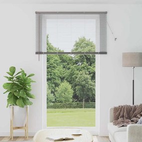 Persiana de Janela com cortinas Outros Manual Prata 80 x 130 cm Alumín