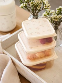 Lote de 3 caixas snack LASSIG bege