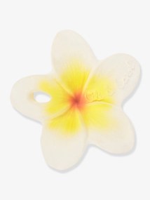 Hawaii, a Flor - OLI & CAROL branco