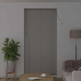 Persiana de Janela com cortinas Outros Manual Prata 100 x 220 cm Alumí