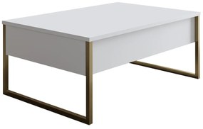 Conjunto de Mobiliário de Sala de Estar Luxe Set – Branco e Dourado –