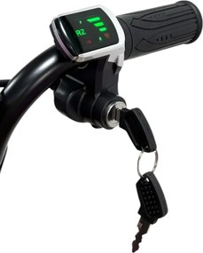 Triciclo eléctrico Crianças Drift Trike 250W 36V litio Preto Carbono