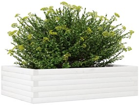 Vaso/floreira de jardim 90x60x23 cm madeira pinho maciça branco