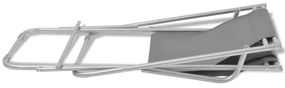 Cadeiras de jardim reclináveis 2 pcs aço cinzento