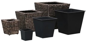 Vasos/floreiras 3 pcs jacinto de água castanho