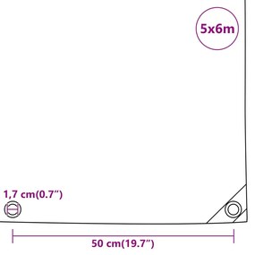 Lona 5x6 m 650 g/m² antracite