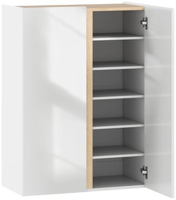 Sapateira de 6 Níveis com 2 Portas em Branco Brilhante com Fechamento Suave e Prateleiras Ajustáveis 70x33,5x95 cm Branco