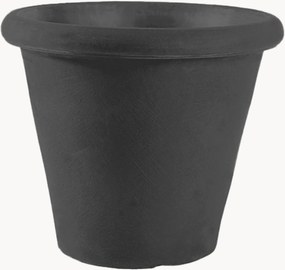 Vaso Camelia