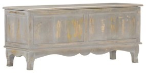 vidaXL Caixa de arrumação 100x38x45 cm mangueira maciça cinzento