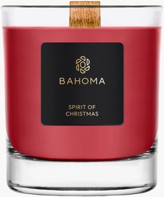 Vela perfumada Spirit of Christmas (cassis, cravinho, âmbar)