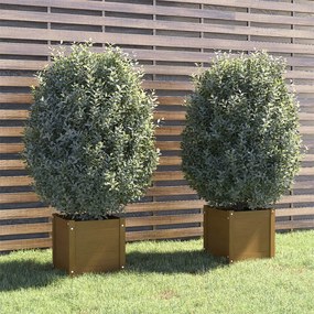 vidaXL Vasos/floreiras 2 pcs 40x40x40 cm pinho maciço castanho mel