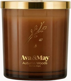 Vela perfumada grande Autumn Woods (pera, patchouli, madeira de cedro)