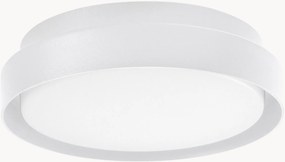 Candeeiro de teto LED para exterior Oliver