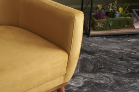 Cadeira Wing Gonca – Dourada – 74x80x75 cm