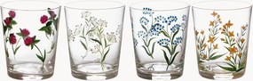 Copos Ancora più Flora, conjunto de 4