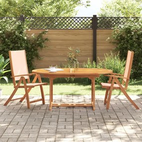 vidaXL Cadeiras de jardim dobráveis 2 pcs acácia maciça e textilene
