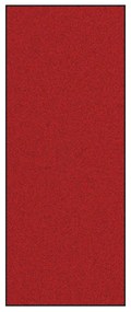 Capacho Retangular vidaXL Vermelho 120x300 cm