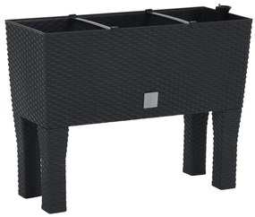 Canteiro de jardim elevado 60x25x46 cm vime PP antracite
