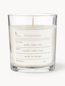 Vela perfumada Morning (groselha preta, toranja)