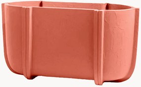 Vaso Cassero