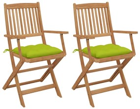 3064616 vidaXL Cadeiras de jardim dobráveis c/ almofadões 2 pcs acácia maciça