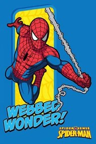 Spider-Man 953 - 100x150cm