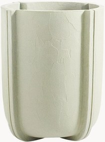 Vaso Cassero