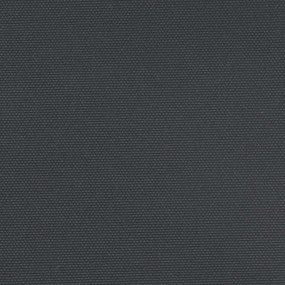 Toldo lateral retrátil 100x500 cm preto