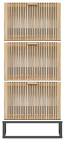 Sapateira 52x25x120 cm derivados de madeira branco