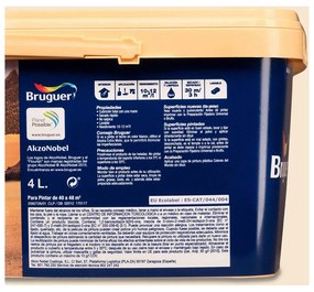 Quadro Bruguer 4 L