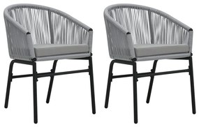 vidaXL Cadeiras de jardim 2 pcs vime PE antracite