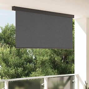 vidaXL Cortina Rolô Exterior Cinzento-escuro 220 x 250 cm tecido