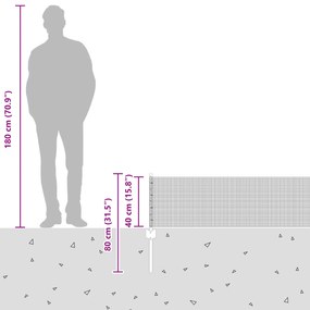 Cerca de Arame Soldado com 22 Postes U Prata 0.4x50 m Aço