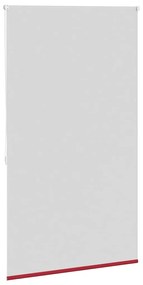 Estore de rolo 100 x 175 cm, Vermelho