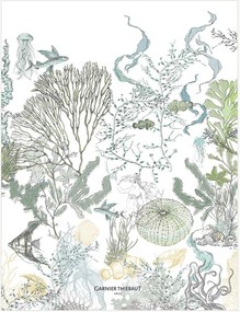 Toalhas de cozinha Balade, conjunto de 4