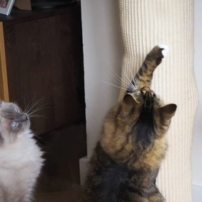 Saco trepador p/ gatos 180 cm sisal